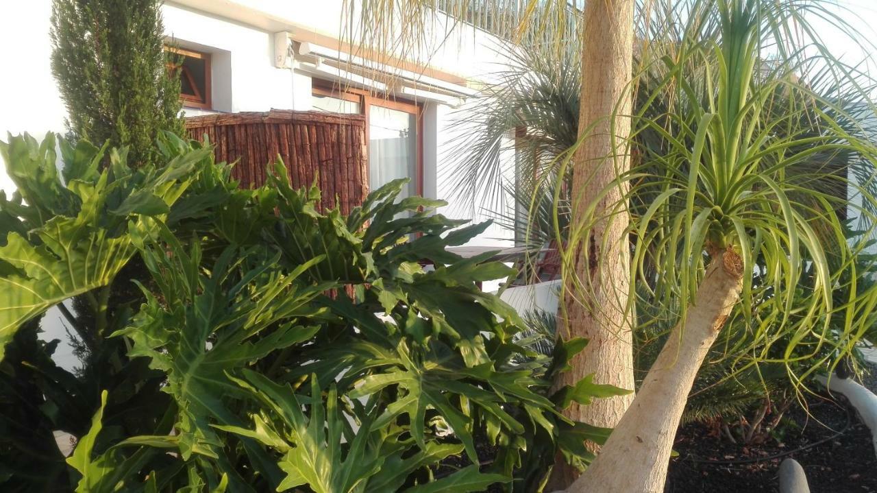 Villa La Perla Candelaria Bagian luar foto